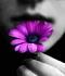 Ana-placer