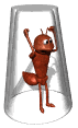 ant