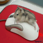 Avatar de Antavi