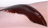 Avatar de bodyshop