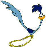 Avatar de correcaminos