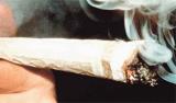Avatar de elcarrodelascasta�as