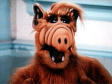 Avatar de eltioputas