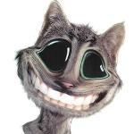 Avatar de gatolokoxxx