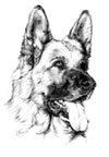 Avatar de gorenje
