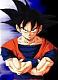 Avatar de MAZOO