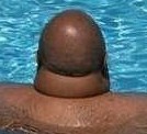 mr.peneman