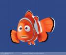 Avatar de nemo57