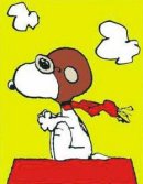 Avatar de perritopiloto