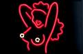Avatar de rasec