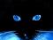 Avatar de torres_5
