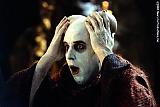 Avatar de wilford