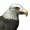 Avatar de Ojo de Aguila