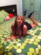 laurita66